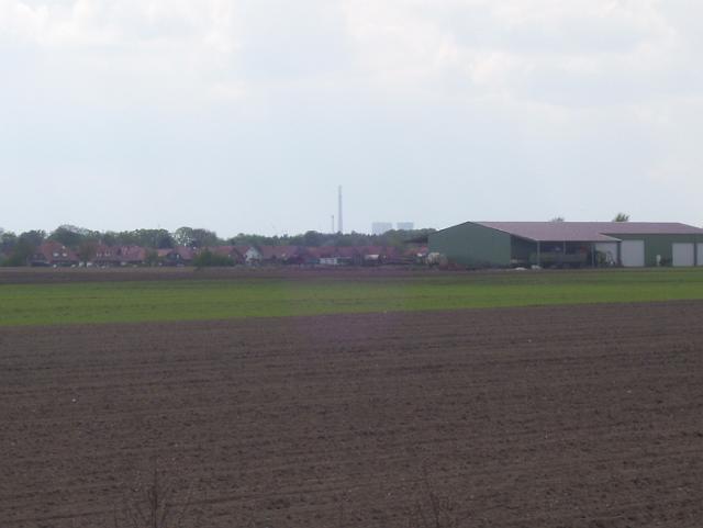 Steinkuhle 2008 (74).JPG